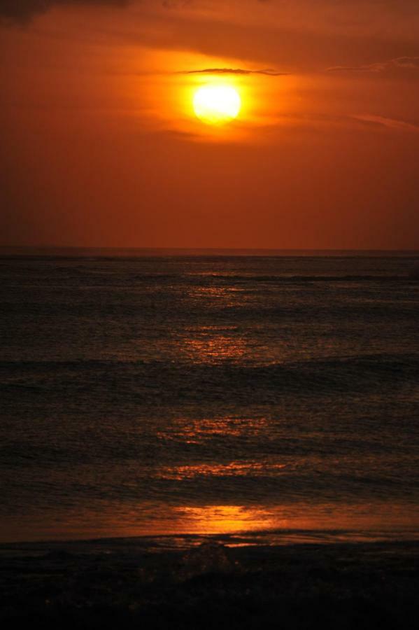Immensity Zenissima *